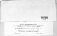 Image Associated With the Occurence